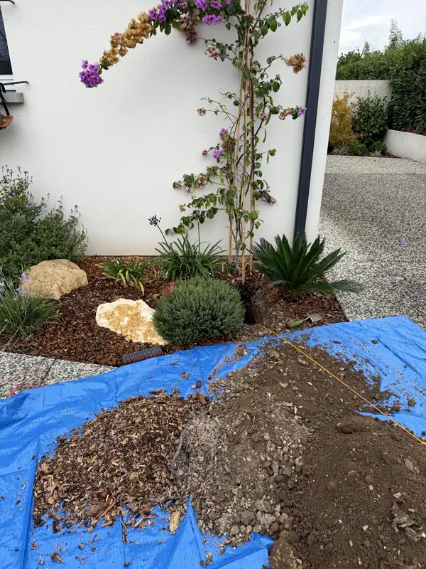 Massif de jardin ouvert pendant l'intervention, la terre posée sur une bâche bleue
